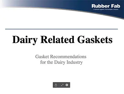 Dairy Related Gasket